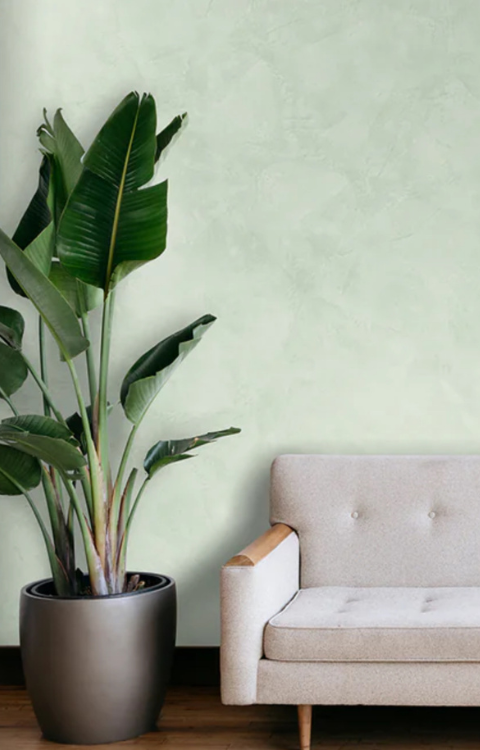 Venetian Plaster