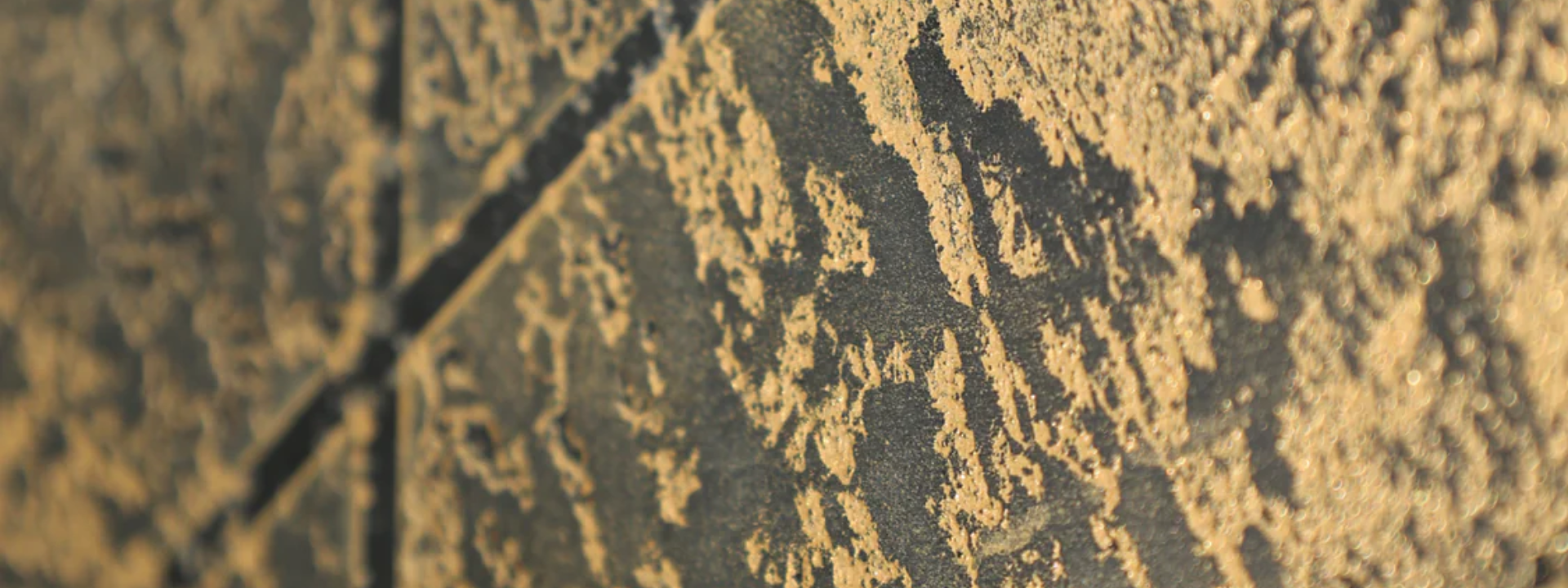 Textured Plasters