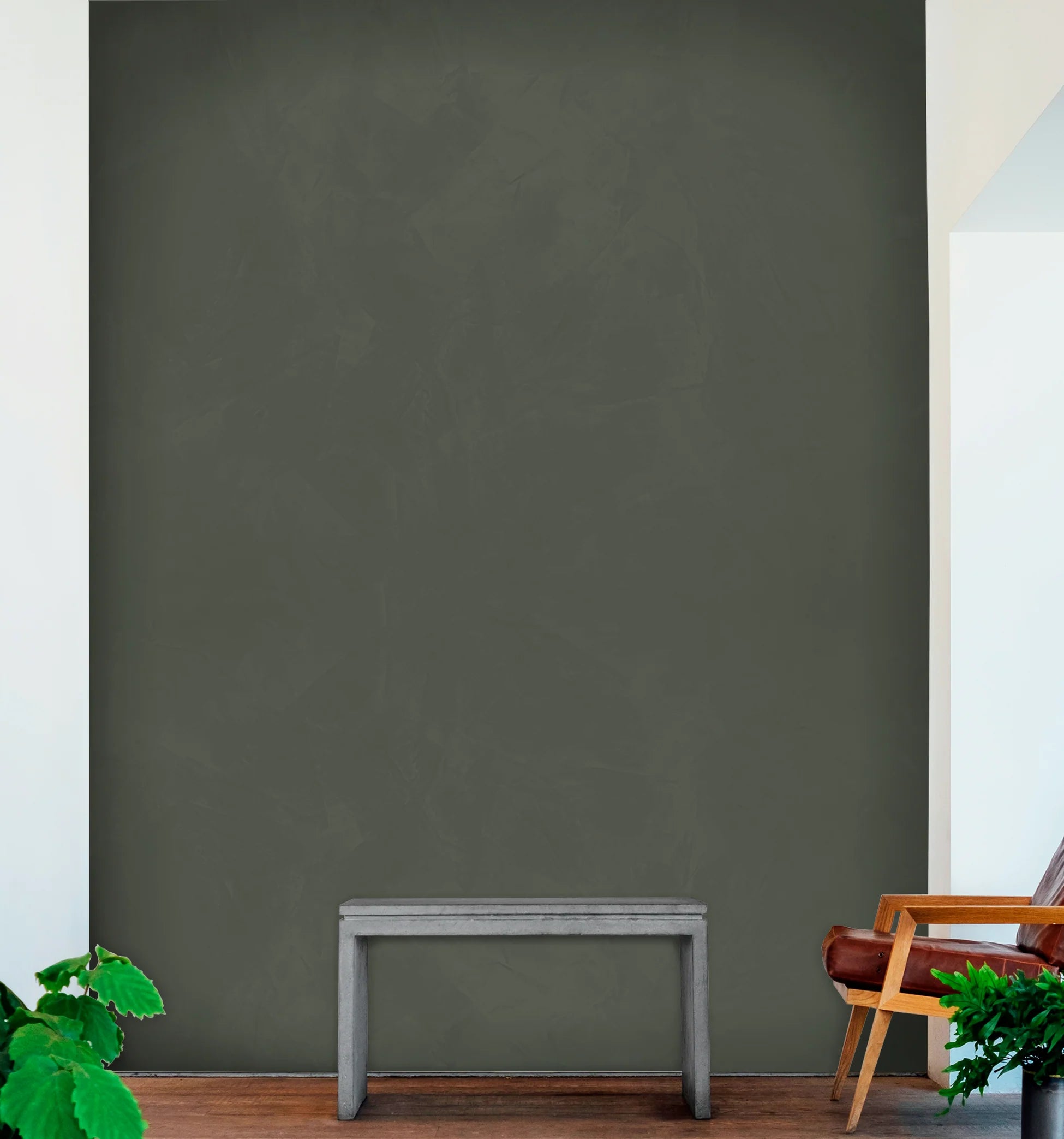 Fenice 20kg