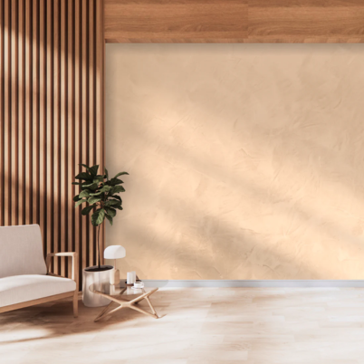 Polished Plaster